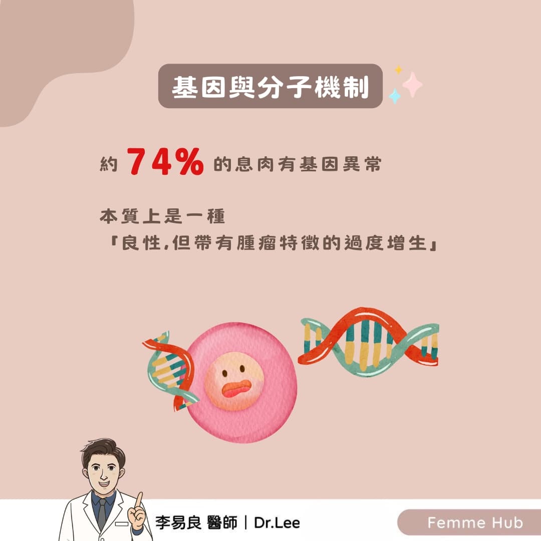 子宮內膜息肉:不只是雌激素的問題3.jpg