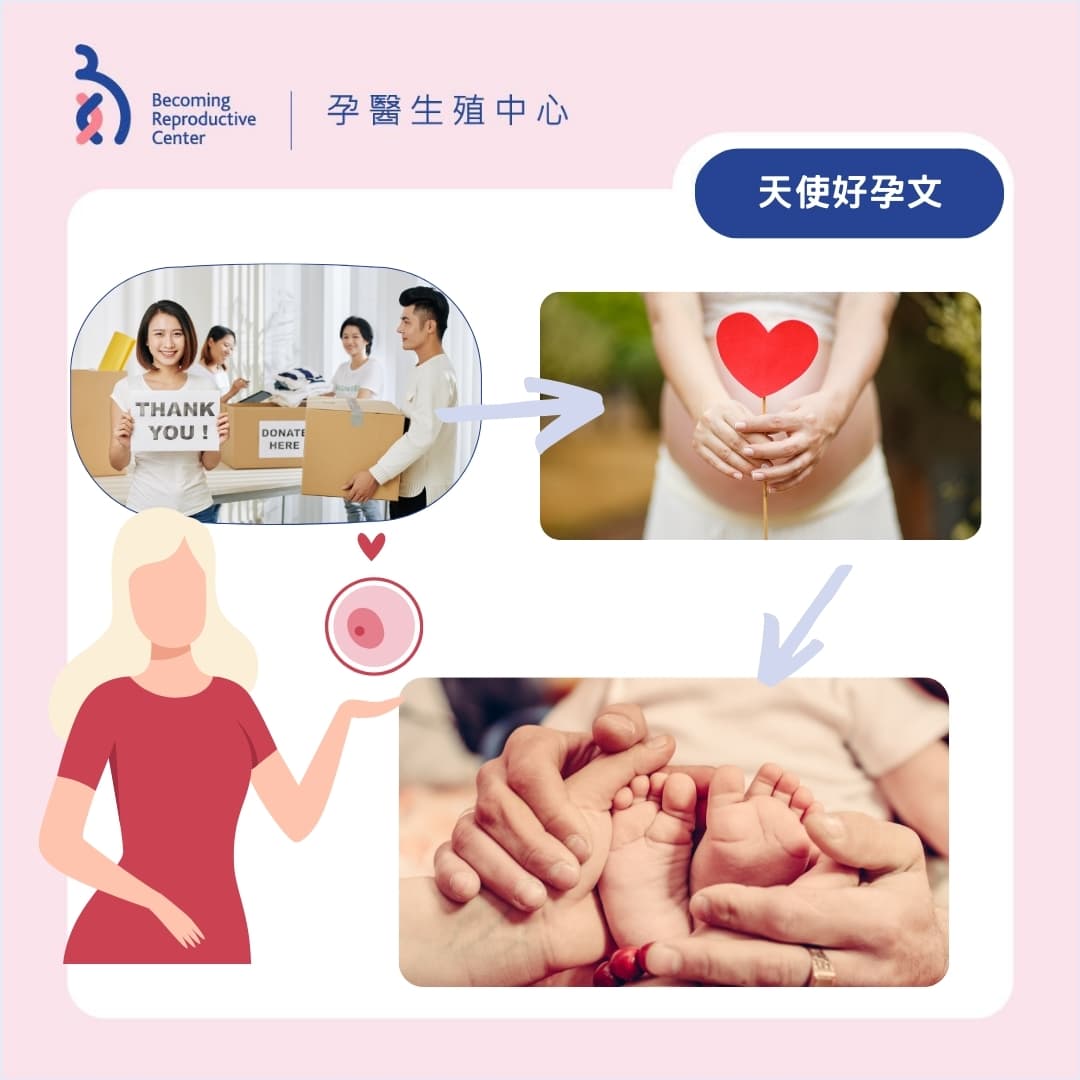 【好孕文分享】-接受「 卵子捐贈 」的心路歷程💞.jpg