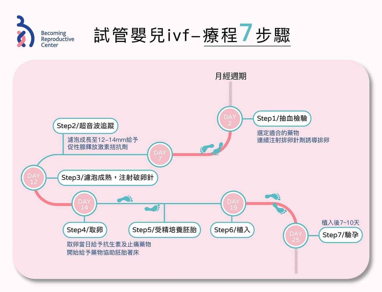 還不清楚試管嬰兒療程嗎?一張圖帶你認識試管嬰兒療程重要步驟👇🏻.jpg